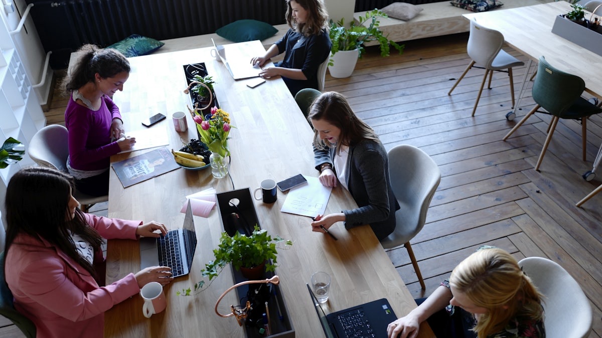 Agency consultant helping a client understand reviews, reputation, and local visibility